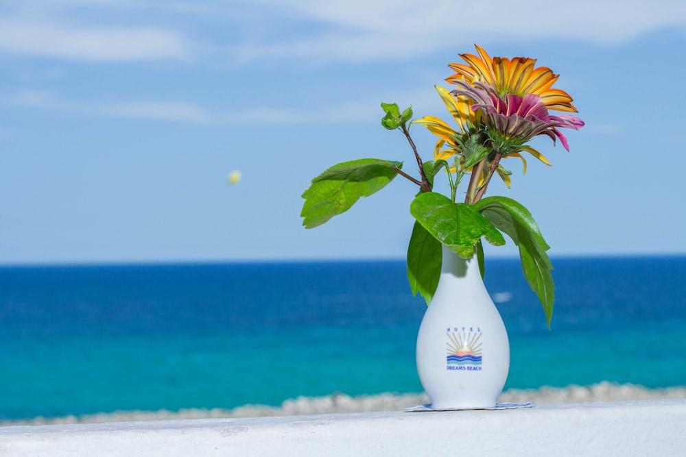 Dreams Beach Susa Dış mekan fotoğraf